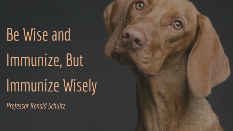 For Our Pets – Be Wise and Immunize, But Immunize Wisely