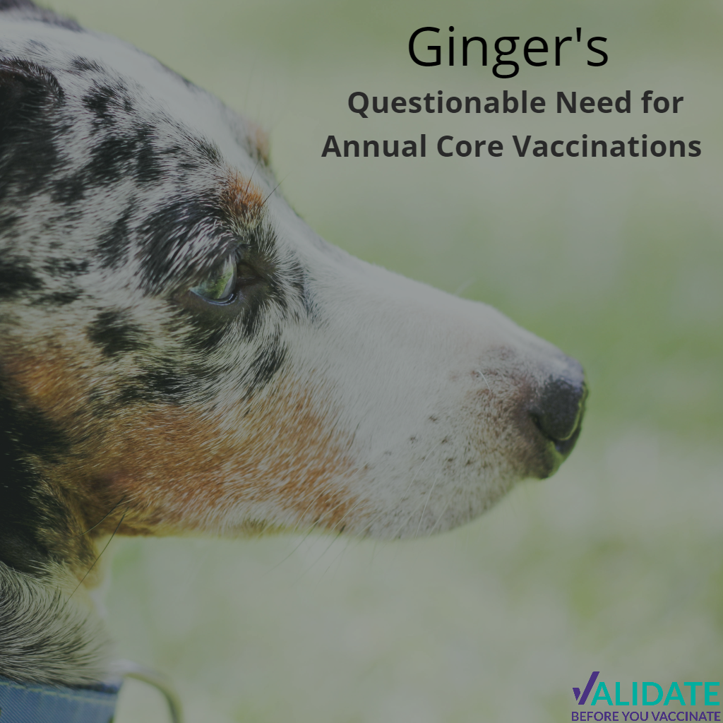 “Ginger’s” Story – and The Questionable Need for Annual Core Vaccinations
