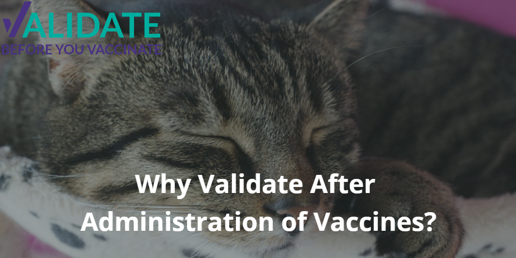 Why Validate After Administration of Vaccines?