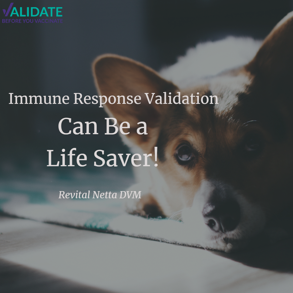 Immune Response Validation Can Be a Life Saver!