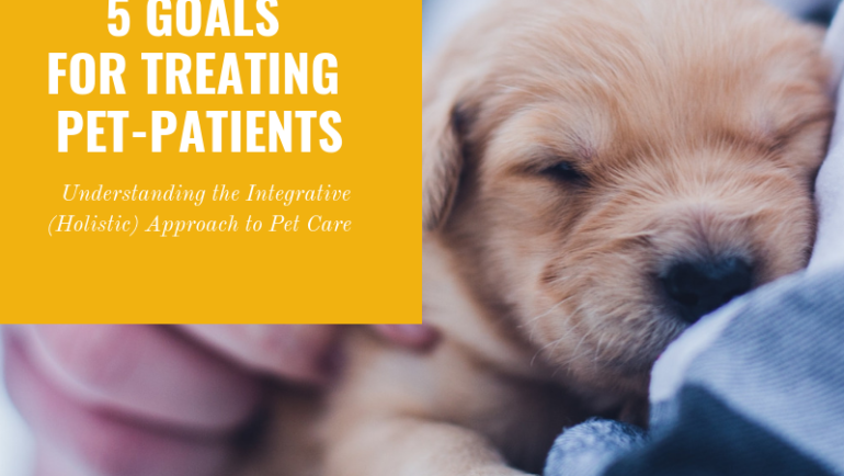 Understanding the Integrative (Holistic) Approach to Pet Care