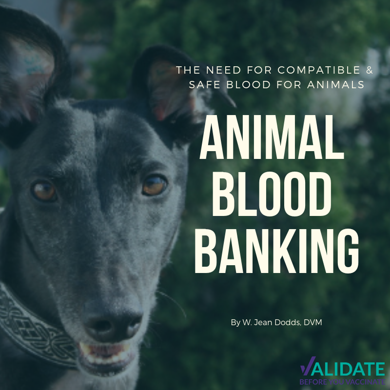 Animal Blood Banking