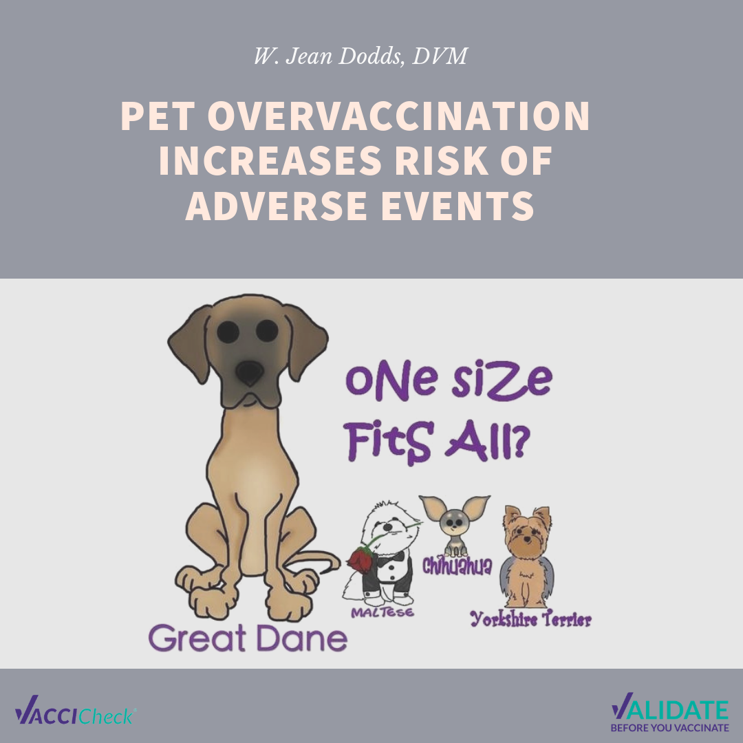 Pet Overvaccination Increases Risk of Adverse Events
