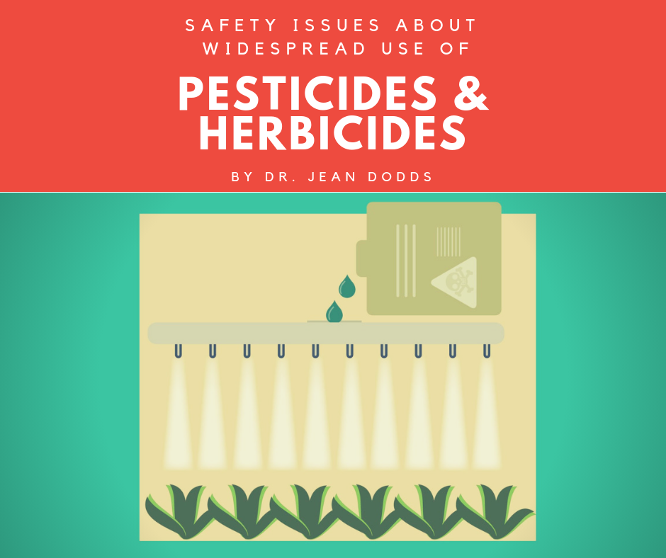 Safety Issues About Widespread Use of Pesticides & Herbicides