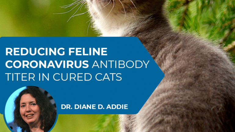 Reducing feline coronavirus antibody titer in cured cats