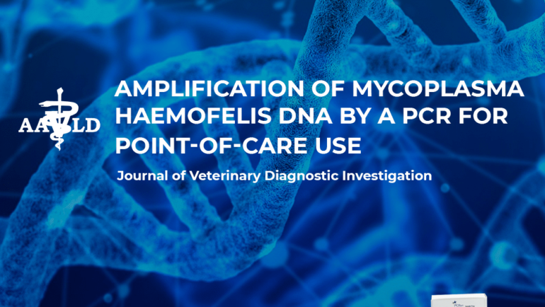 Amplification of Mycoplasma Haemofelis DNA by a PCR for point-of-care use