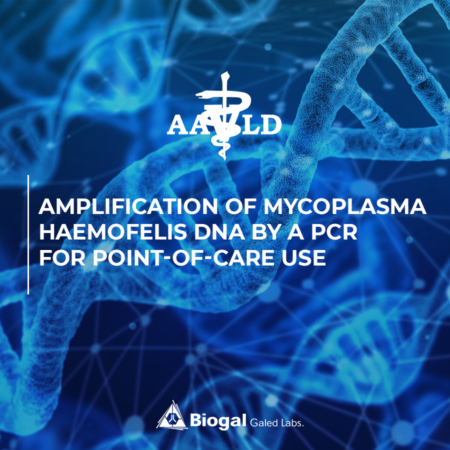 Amplification of Mycoplasma