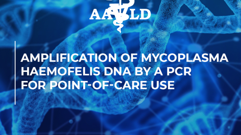 Amplification of Mycoplasma Haemofelis DNA by a PCR for point-of-care use