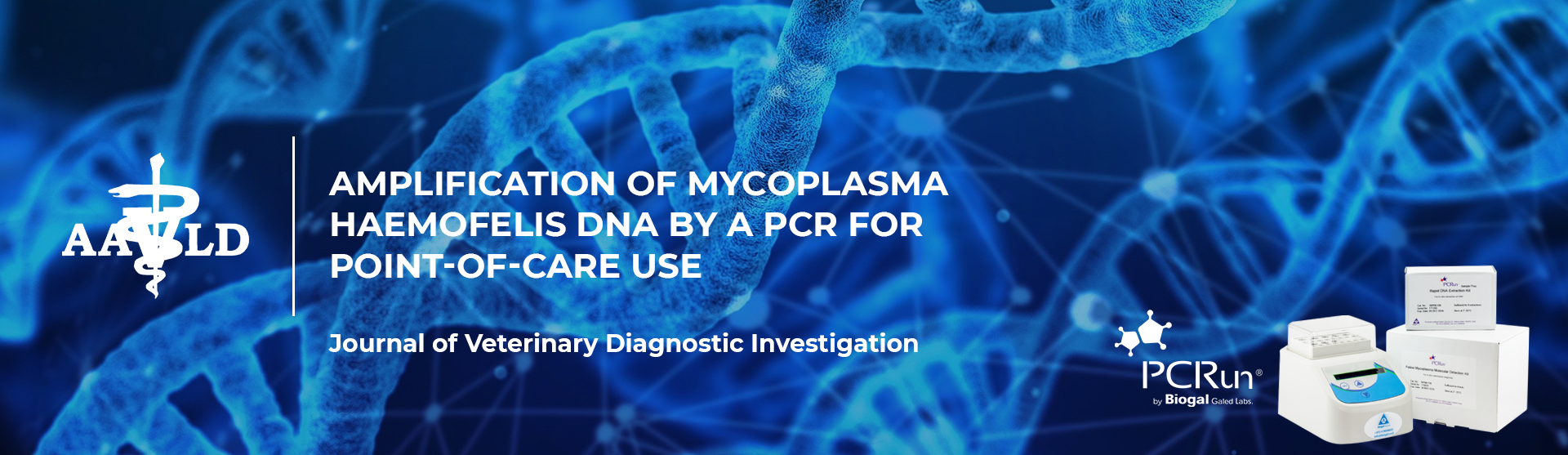 Amplification of Mycoplasma