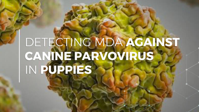 Detecting MDA Against Canine Parvovirus in Puppies