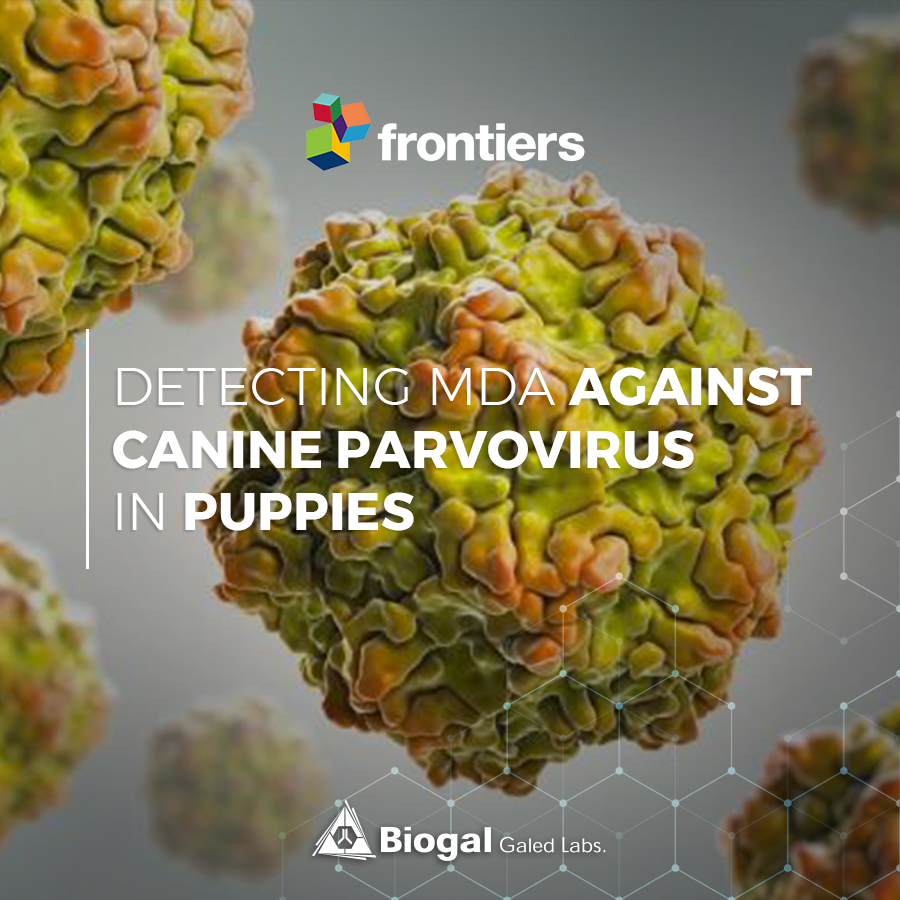 Detecting MDA Against Canine Parvovirus in Puppies