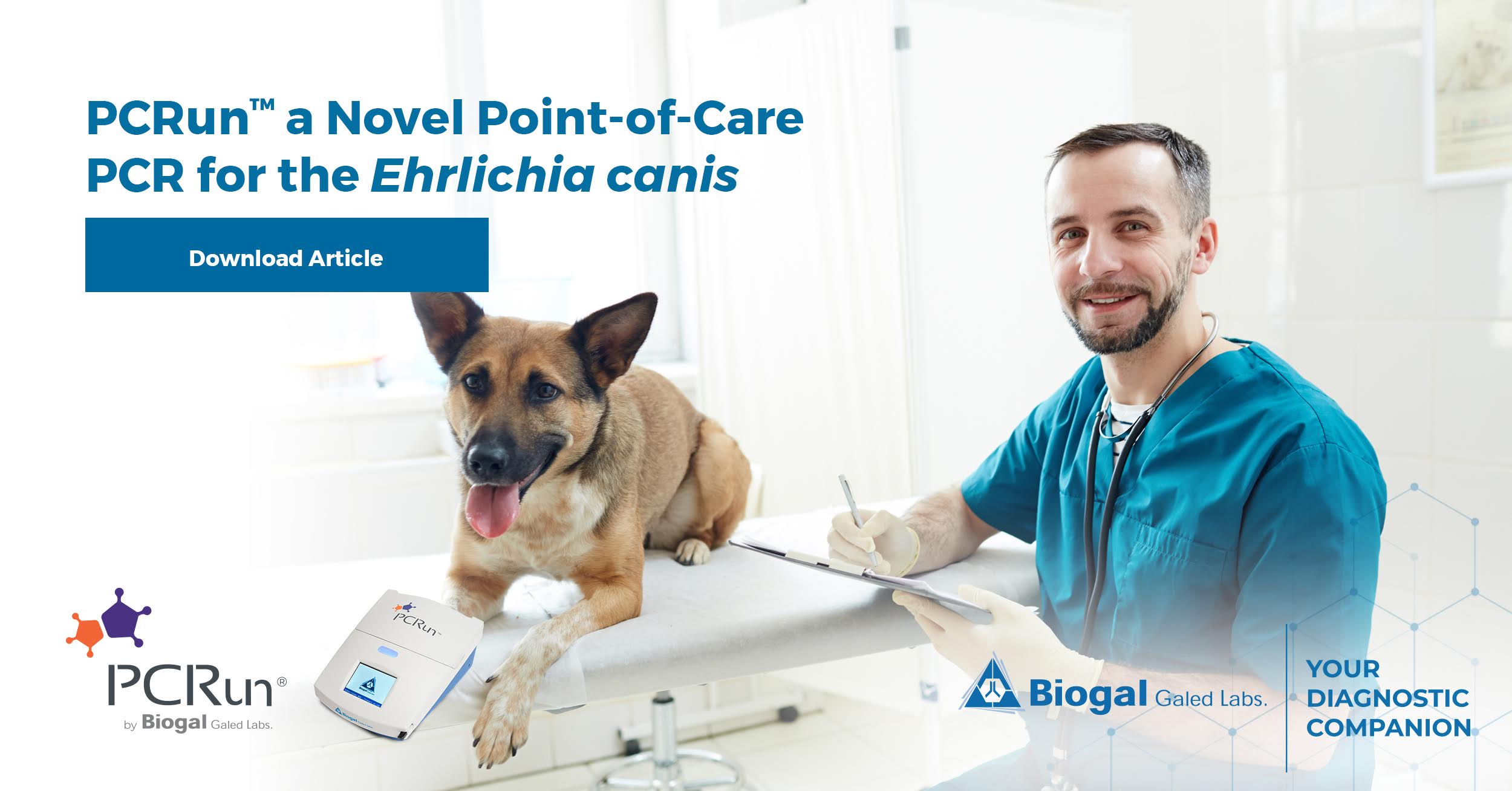PCRun a Novel PointofCare PCR for the Ehrlichia canis Biogal Labs