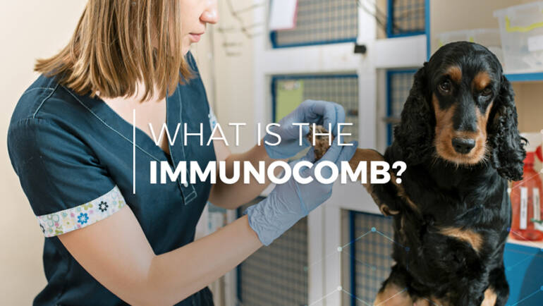 What is the ImmunoComb?