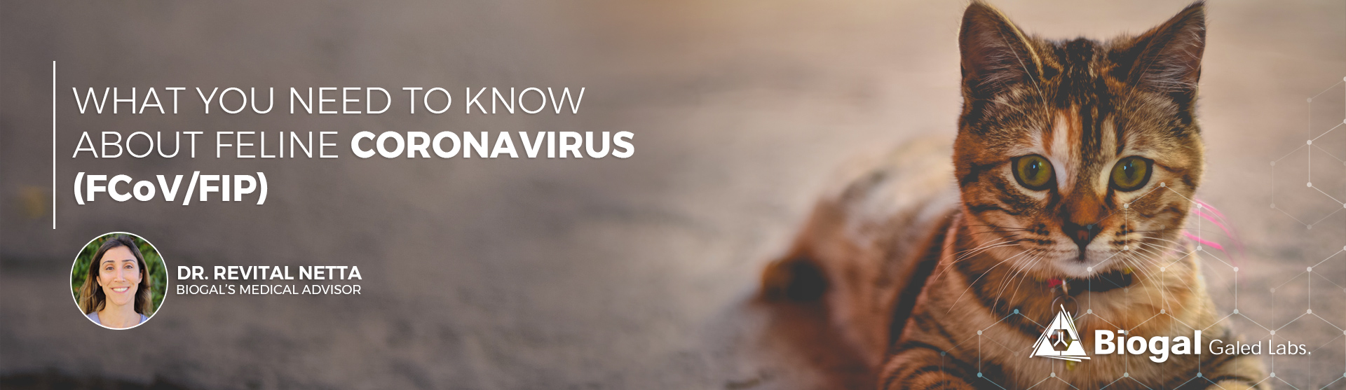 Top 3 Covid 19 Coronavirus Myths Busted Iqair
