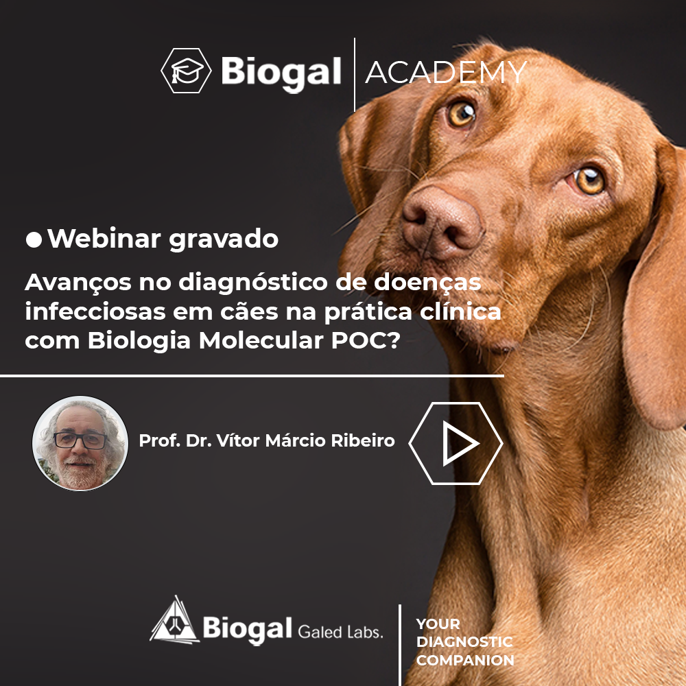 Avanços no diagnóstico de doenças infecciosas em cães na prática clínica com Biologia Molecular POC