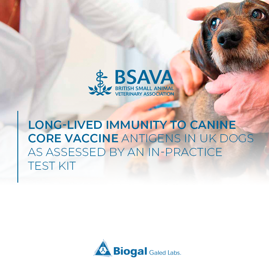 Long-lived immunity to canine core vaccine antigens in UK dogs as assessed by an in-practice test kit