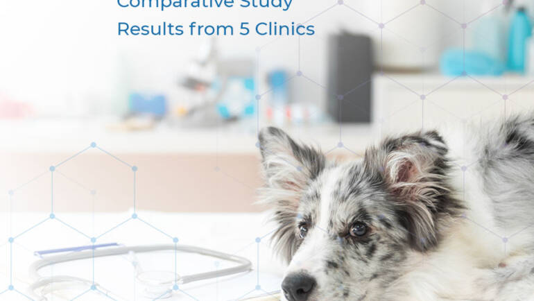 In-clinic canine titer tests