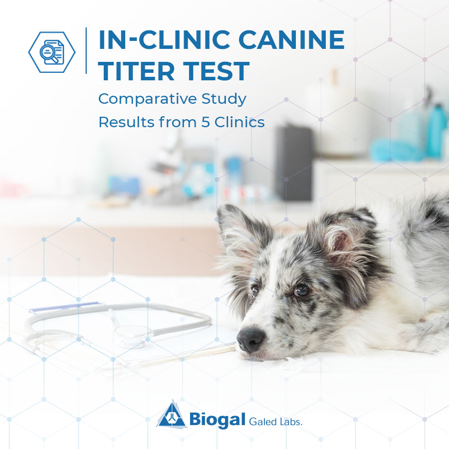 In-clinic canine titer tests