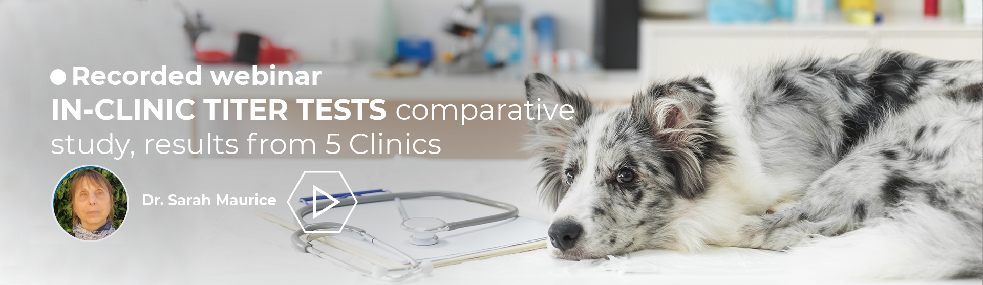 In-clinic canine titer test
