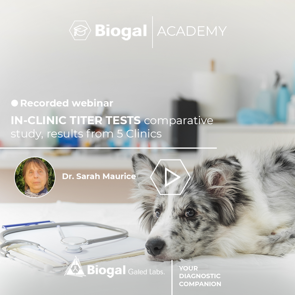 Biogal Academy in-clinic-canine titer test