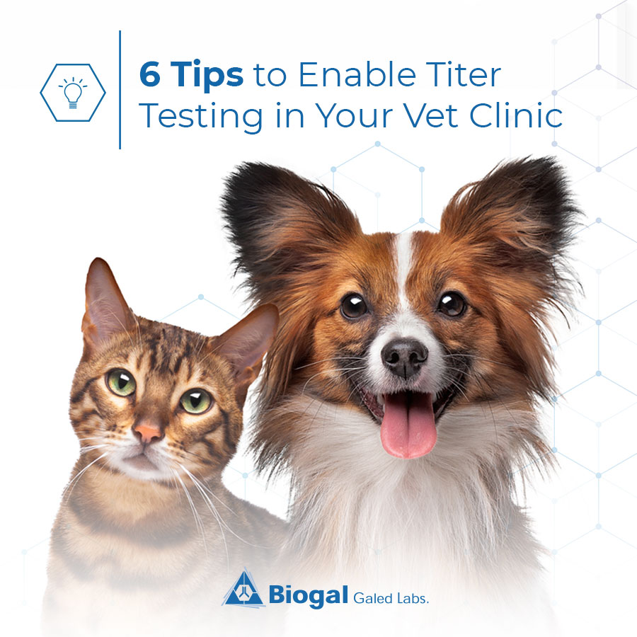 6 Tips to Enable Titer Testing in a Vet Clinic