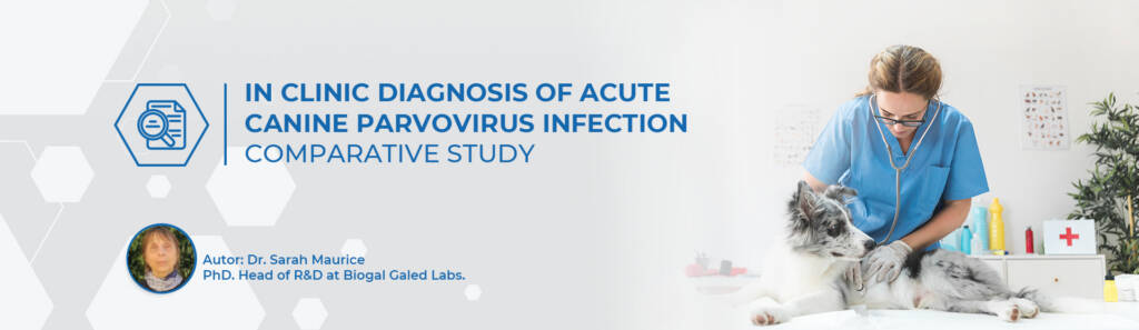 In Clinic Diagnosis Of Acute Canine Parvovirus Infection Biogal Labs