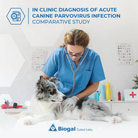 In clinic diagnosis of acute canine Parvovirus infection