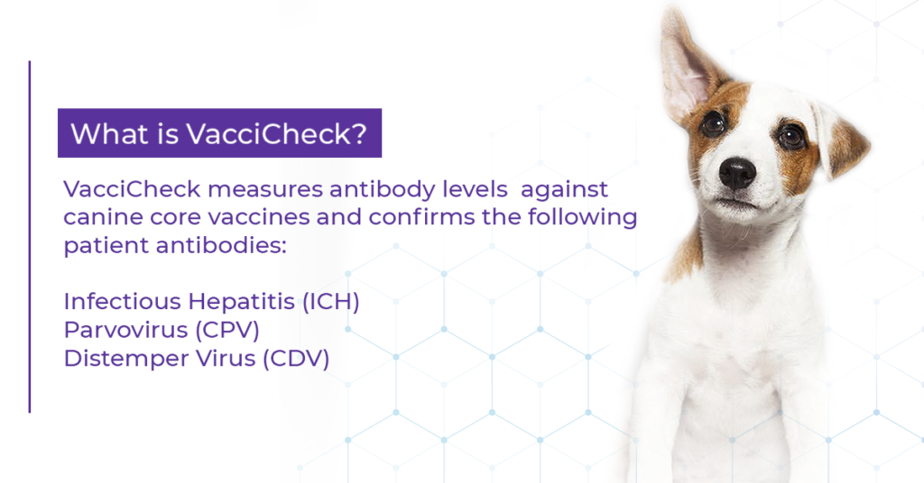 VacciCheck FAQS
