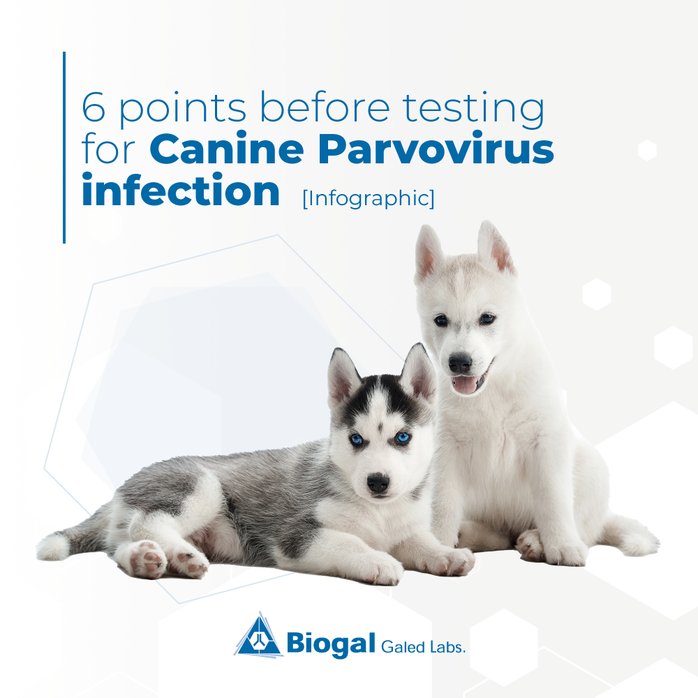 Canine Parvovirus Biogal Tips