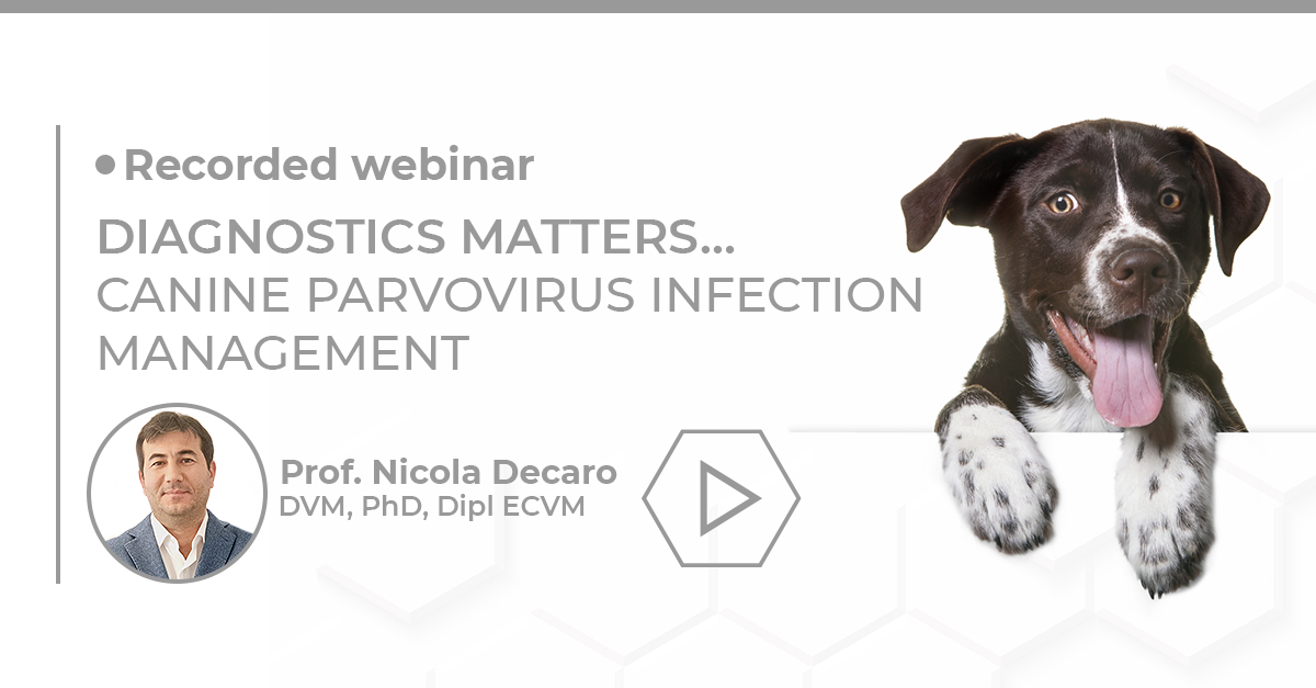 Canine Parvovirus Infection Management Biogal Academy