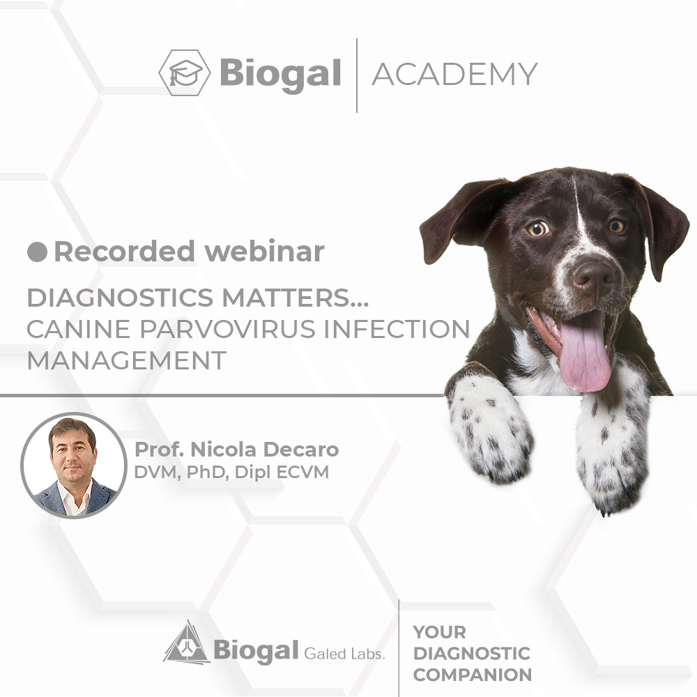 Diagnostics matters…Canine Parvovirus Infection Management