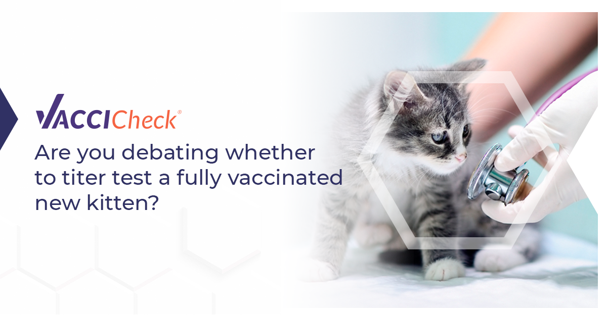 Titre test a fully vaccinated new kitten? Biogal Labs