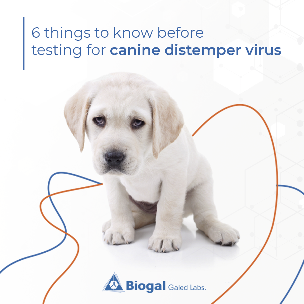 Canine Distemper Tips