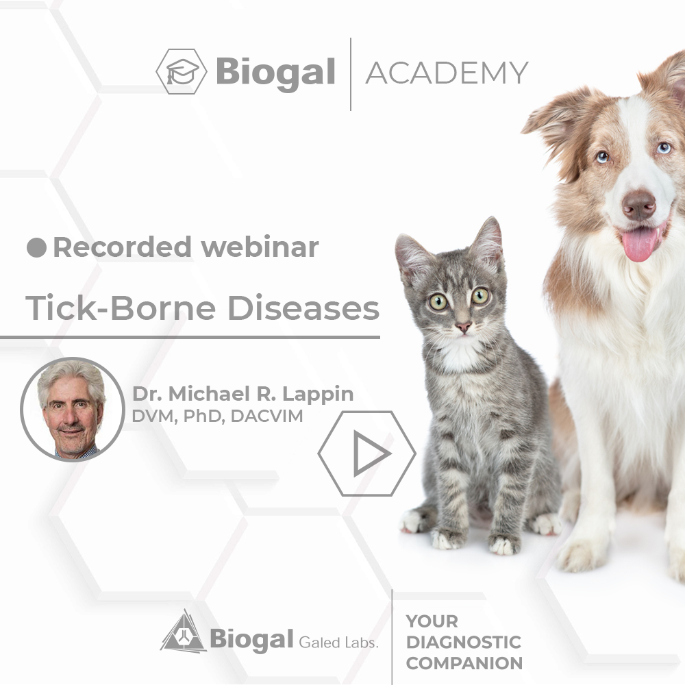 Tick-Borne Diseases By Dr Lappin