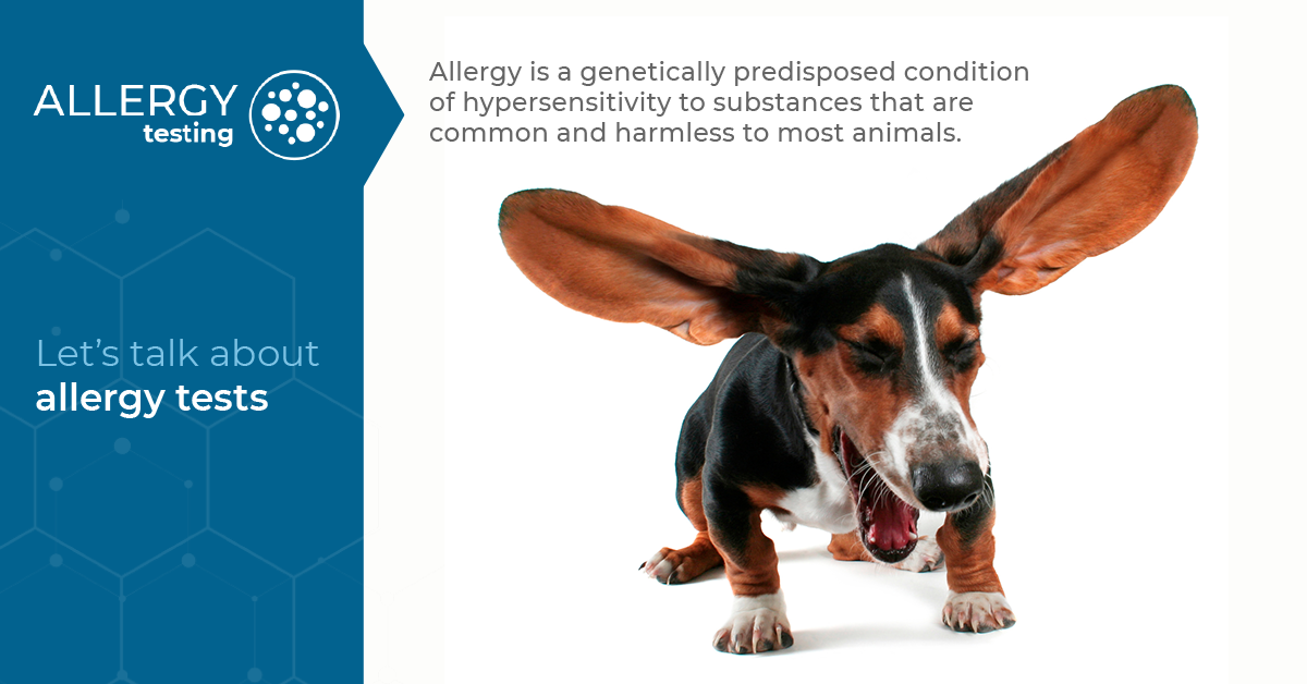 Allergy tests Biogal Labs