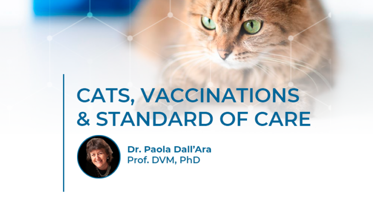 CATS, VACCINATIONS & STANDARD OF CARE