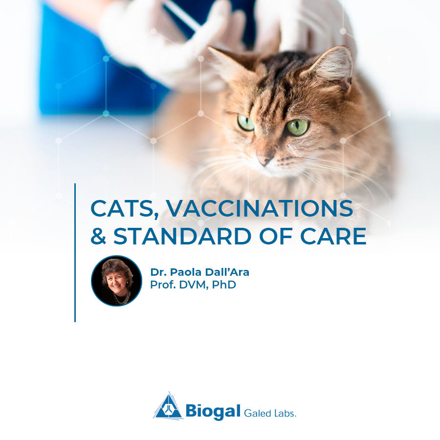 CATS, VACCINATIONS & STANDARD OF CARE