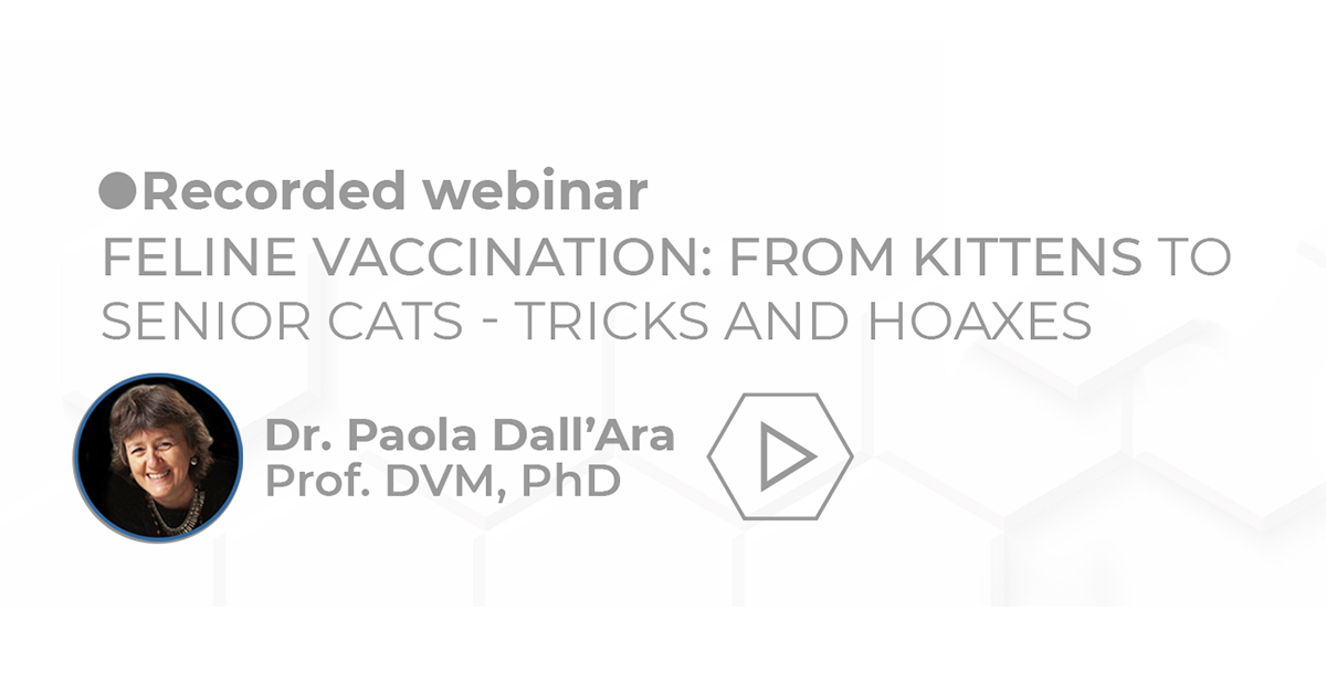 Recorded webinar feline vaccination