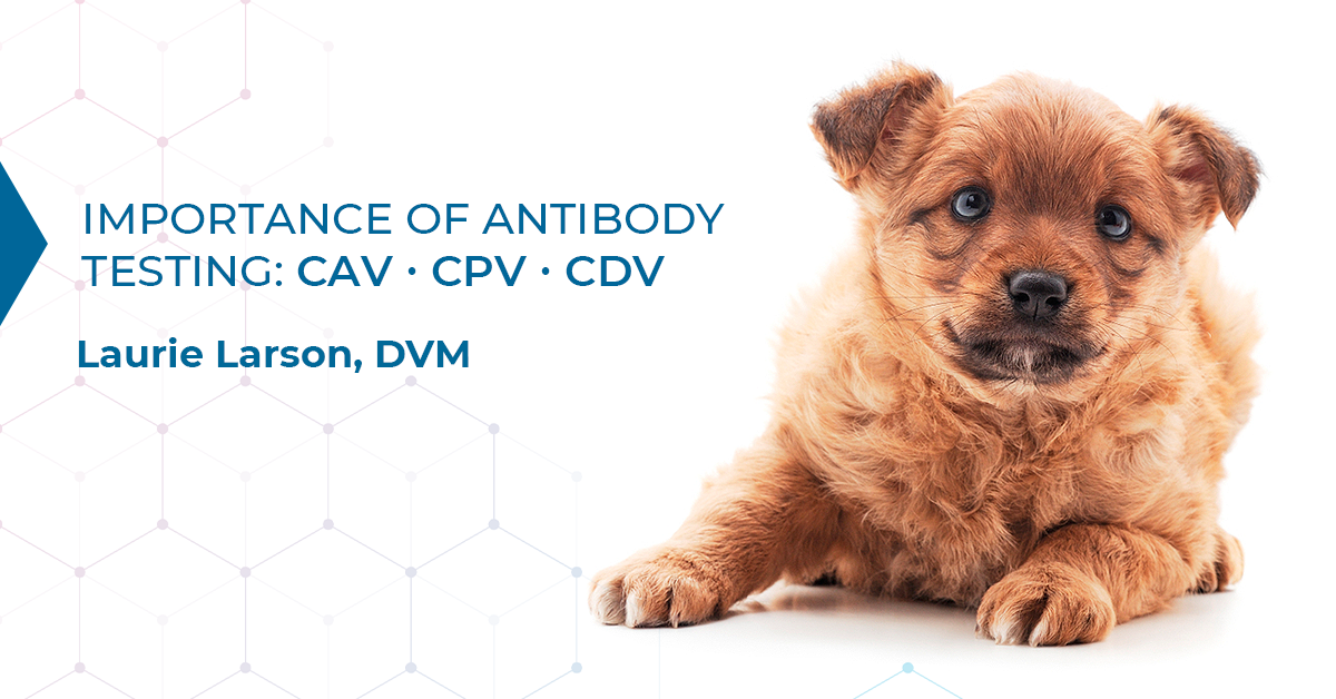 The importance of antibody testing by Laurie Larson Biogal Labs