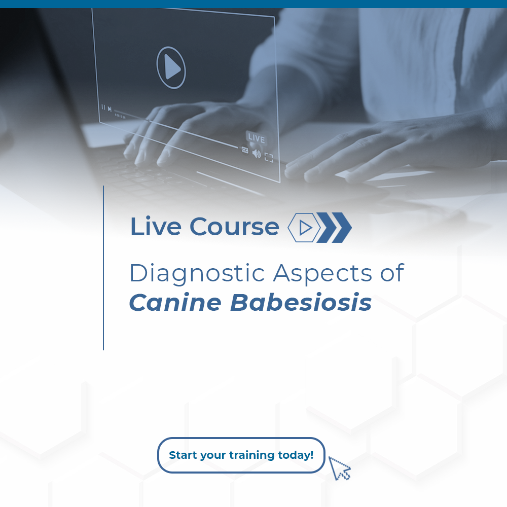 Biogal Live Course | Diagnostic Aspects of  Canine Babesiosis