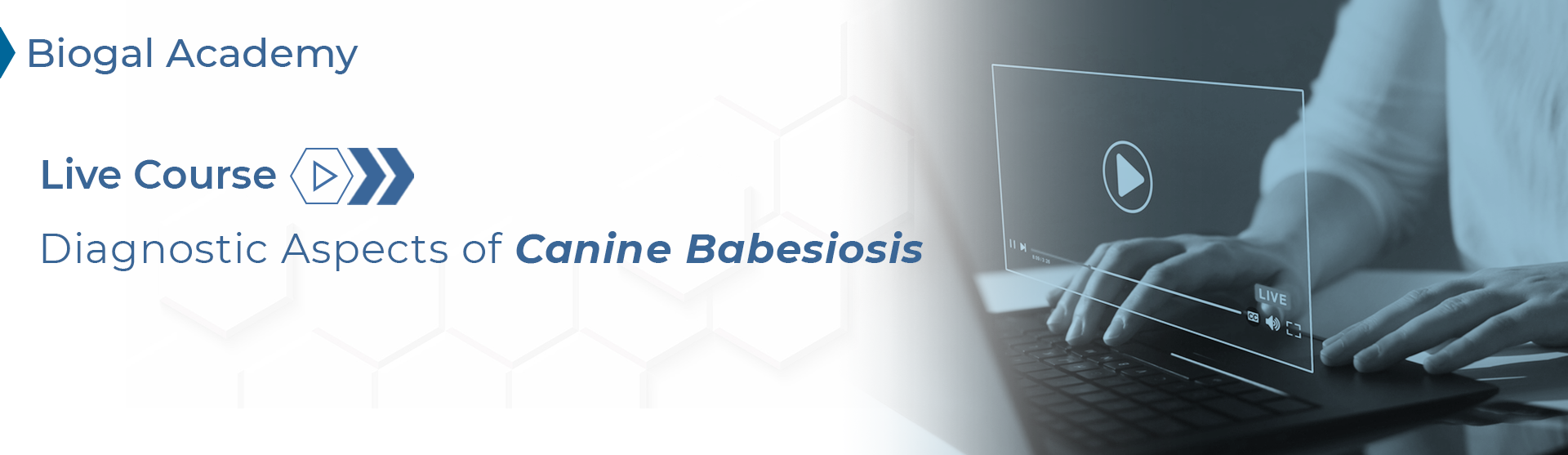 Diagnostic Aspects of Canine Babesiosis