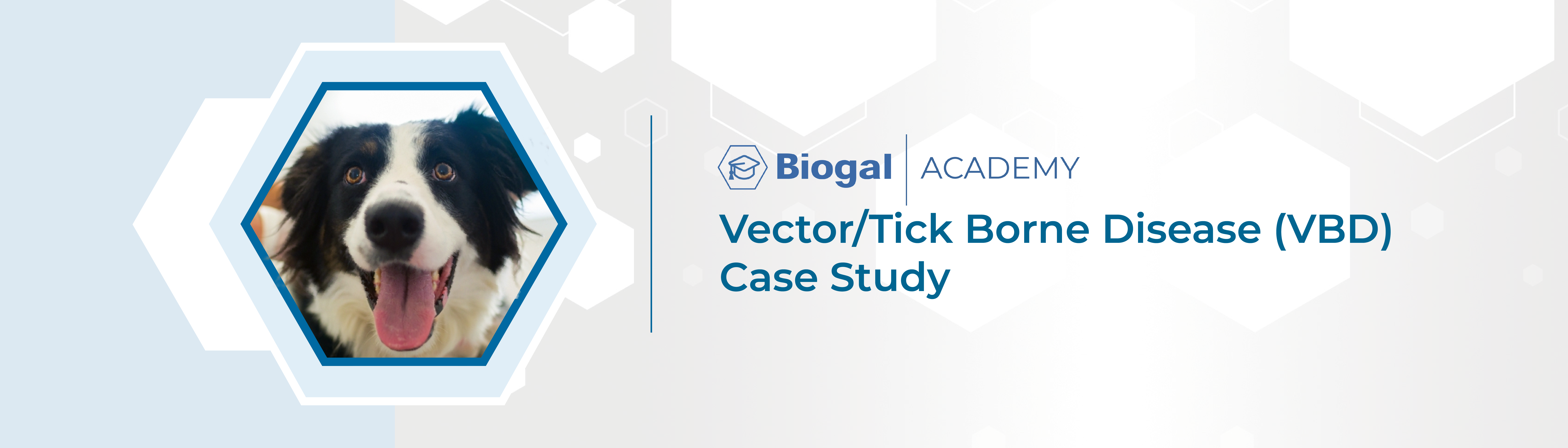 Vector/Tick Borne Disease (VBD) Case Study