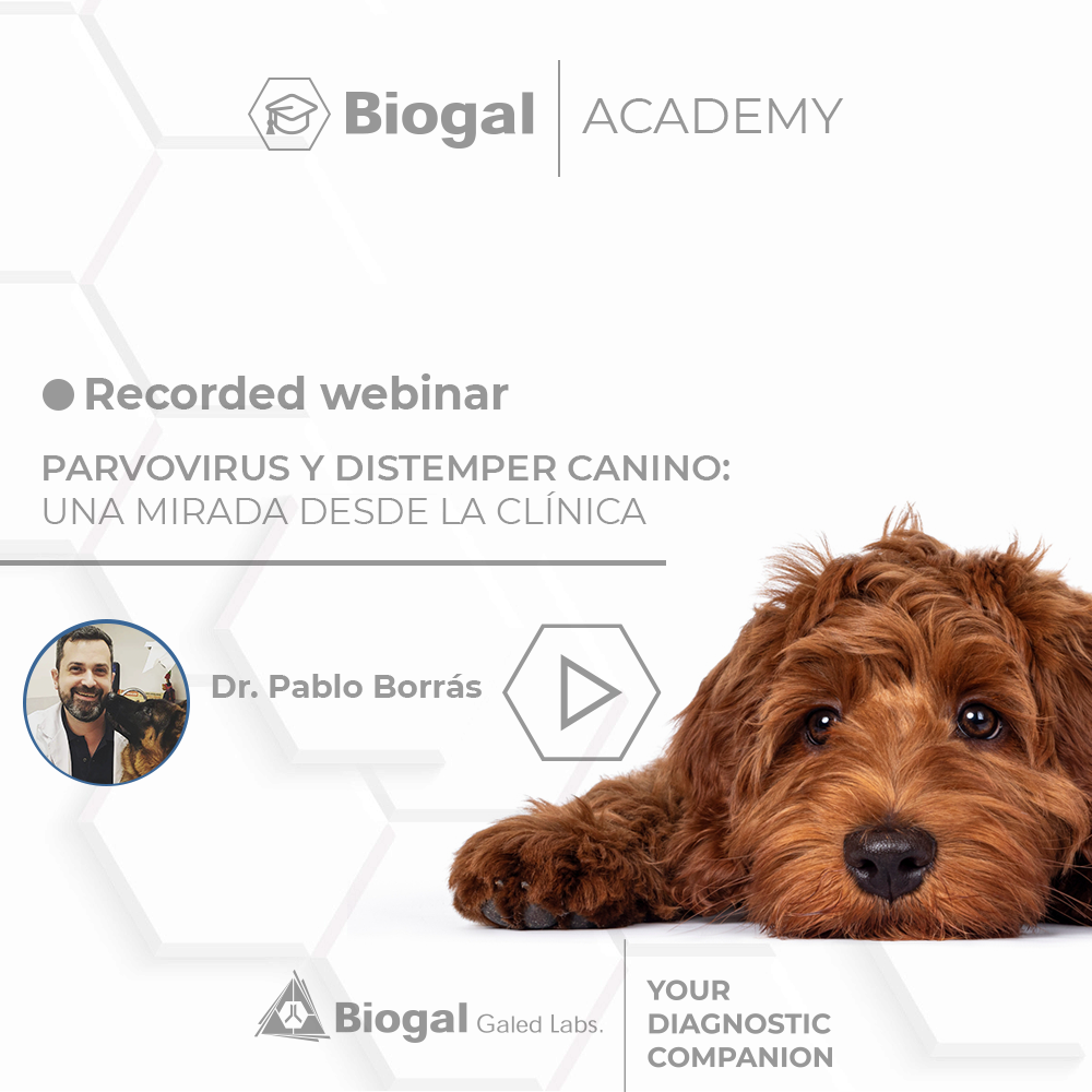 Recorded_Webinar_Dr_Pablo_Borras