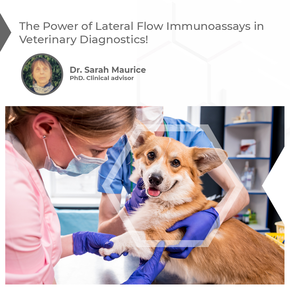 The Power of Lateral Flow  Immunoassays in Veterinary  Diagnostics!
