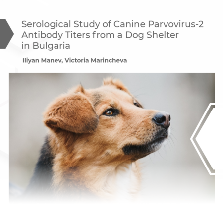 Serological Study of Canine Parvovirus-2 Antibody Titers from a Dog Shelter in Bulgaria