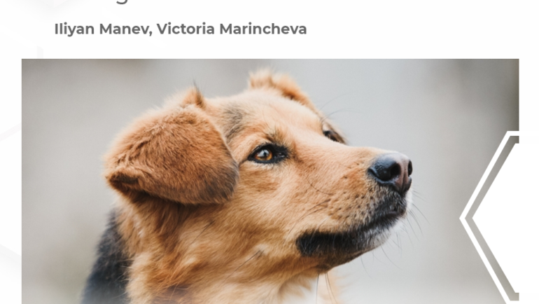 Serological Study of Canine Parvovirus-2 Antibody Titers