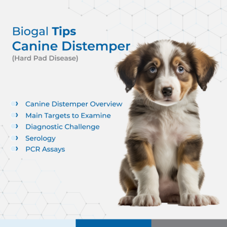 Biogal Tips Canine Distemper