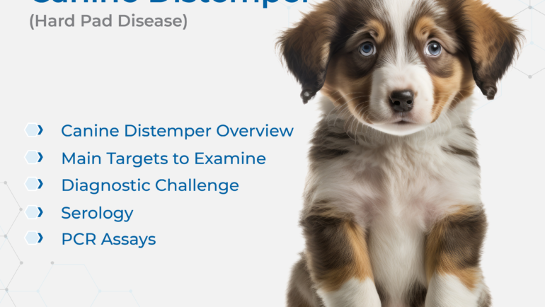 Biogal Tips | Canine Distemper