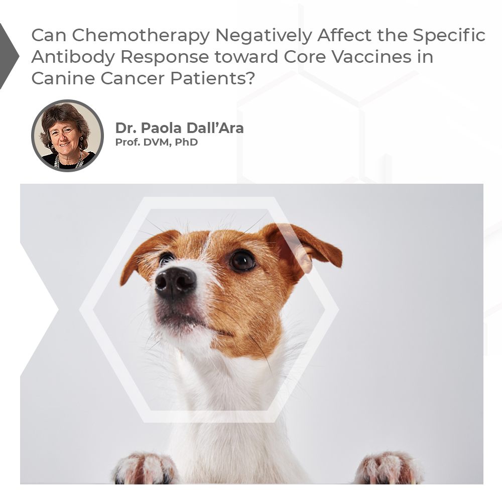 Can Chemotherapy Negatively Affect the Specific Antibody Response toward Core Vaccines in  Canine Cancer Patients?