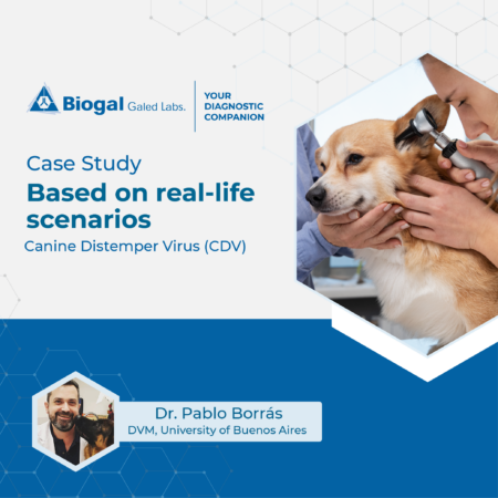 Dr Pablo Borrás Study Case Canine Distemper Virus (CDV)